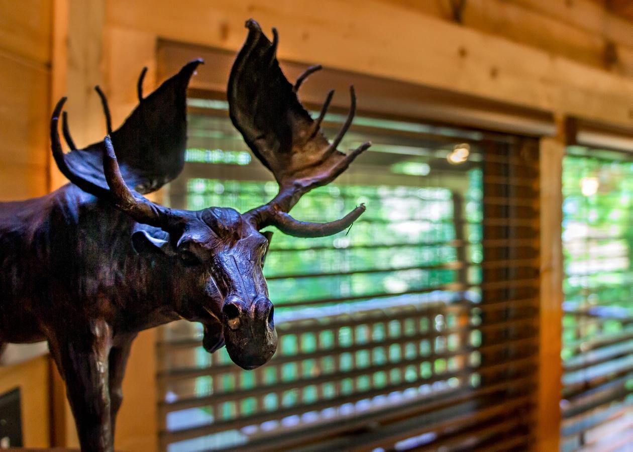 Bearfoot Inn #35 Сев'єрвілл Екстер'єр фото